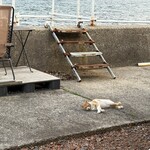 ピース・ライダース・マリン・ベース カフェ - 