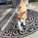 ピース・ライダース・マリン・ベース カフェ - 