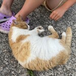 ピース・ライダース・マリン・ベース カフェ - 