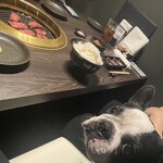 焼肉 やまかん亭 神戸三宮 - 