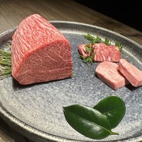 USHIGORO S. SHINJUKU - 