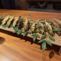 マキノンチ - 