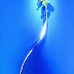 EL DORADO / ホテル イル・パラッツォ - 