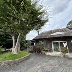 カフェ イン ザ ウッズ - 