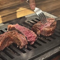 黒毛和牛ヘレ肉専門店 炭火焼肉 りきちゃん 北浜店 - 