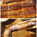 活魚料理　うおじま - 