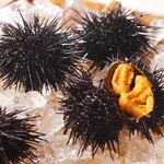 すし独楽 - 函館うに