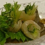 能登 - ヒラメの昆布締め