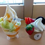 SHIMOTSU FRUITS - 