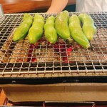 すすむ堂 - そら豆