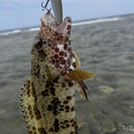 ペンションシーシャイン - 