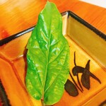 ペンションシーシャイン - 