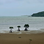 ペンションシーシャイン - ミッツマングローブ