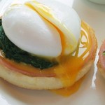 オールデイダイニング セリーズ - 