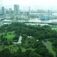 オールデイダイニング セリーズ - 