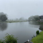 스테이크 니코니코 우시