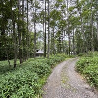 八ヶ岳 えさき - 