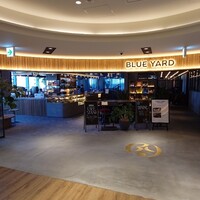 BLUE YARD - 