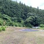 八百比丘尼 そば - 