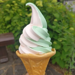 五色沼カフェ_0