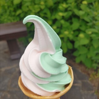 五色沼カフェ_1