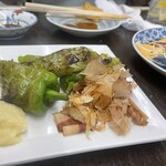 どたぬき - 万願寺とうがらし