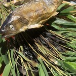 菊鹿温泉 花富亭 - 