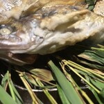 菊鹿温泉 花富亭 - 