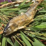 菊鹿温泉 花富亭 - 