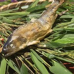 菊鹿温泉 花富亭 - 