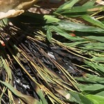 菊鹿温泉 花富亭 - 