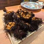 新日本料理おぶね - 北海道 殻付き生雲丹。