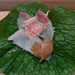 新日本料理おぶね