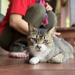 ゲストハウスきち - 