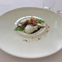 オテル・ド・ヨシノ - 鰹の軽いグリエ　木の芽のエミュルシオン