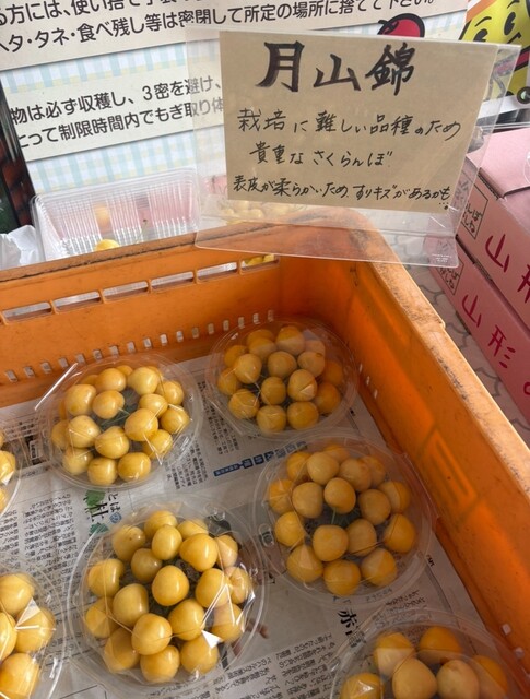 神町観光果樹園 &ndash; 山形・東根市で楽しむフルーツ体験とカフェ