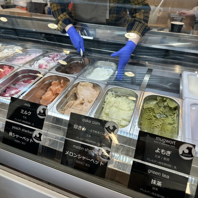 ジェラート ナチュレ ドゥーエ（gelato natura due） - 青森（ジェラート・アイスクリーム）の写真
