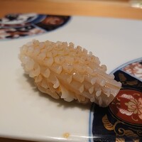 鮨 不二楼 - ヤリイカ、ウニ