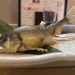 居酒屋　もいち - 2025.7の塩焼き