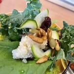 Organic Cafe koto-koto