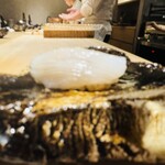 片岡篤司 - アオリイカ