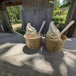 ソフトクリーム アンミックスド サッポロ （UNMIXed Sapporo） - 西線16条