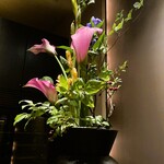 カーヴ - 店内イメージ