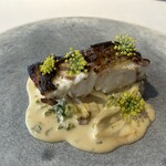 Daichi DAICHI IKEHATA - 