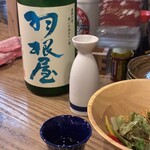 呑み屋さん せっさたくま - 