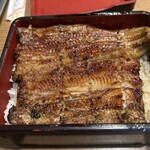 鰻 芳松 - ランチ鰻重特上。ご飯大盛り（無料）。
