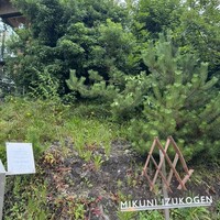ミクニ伊豆高原 - 