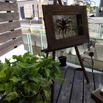 カフェバール・ジハン - 