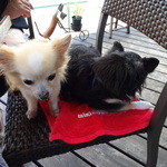 カフェバール・ジハン - 