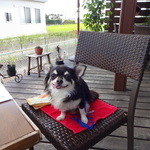 カフェバール・ジハン - 